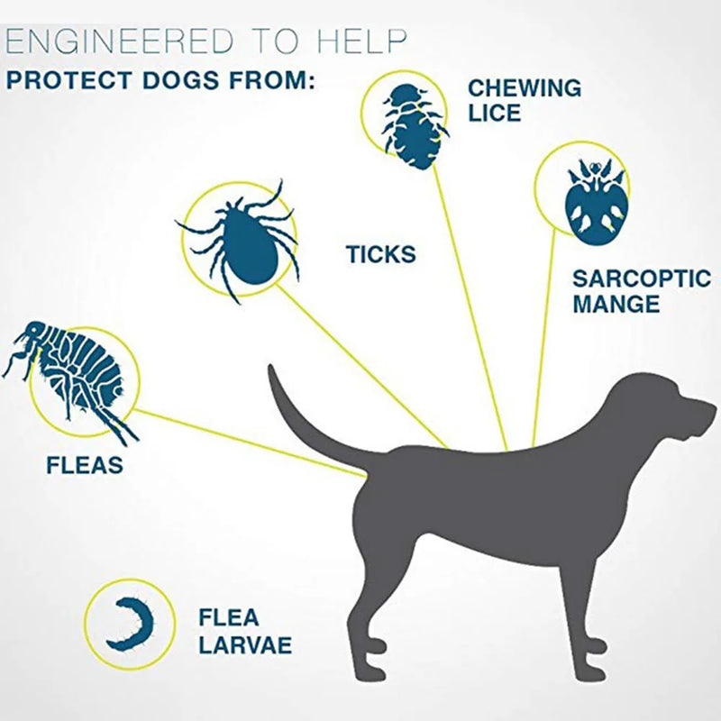 Coleira anti-pulgas e carrapatos para cães e gatos, até 8 meses, prevenção contra pulgas e carrapatos, anti-mosquito e repelente de insetos, suprimentos para filhotes